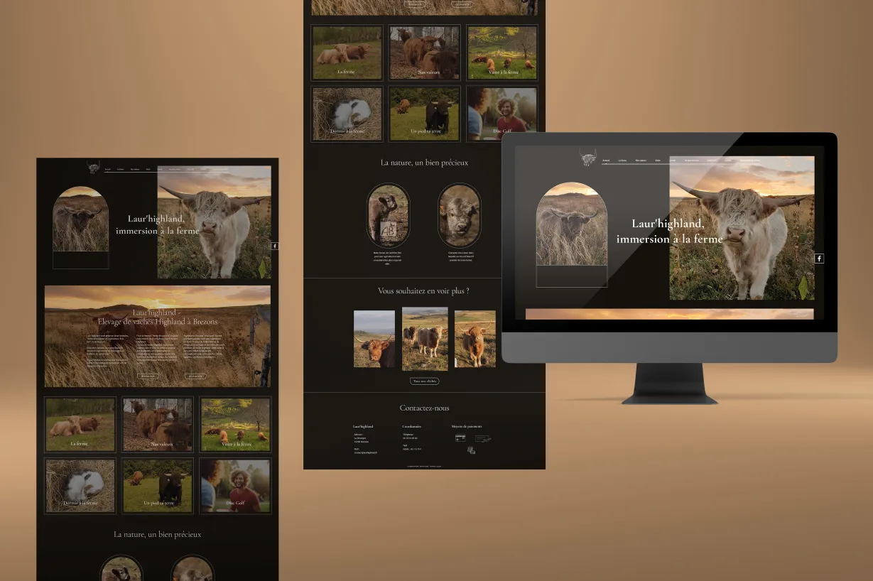 Mockups de webdesign